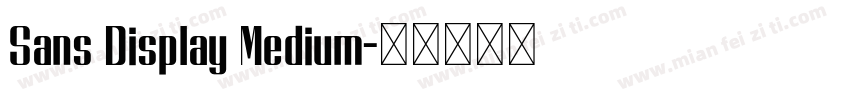 Sans Display Medium字体转换